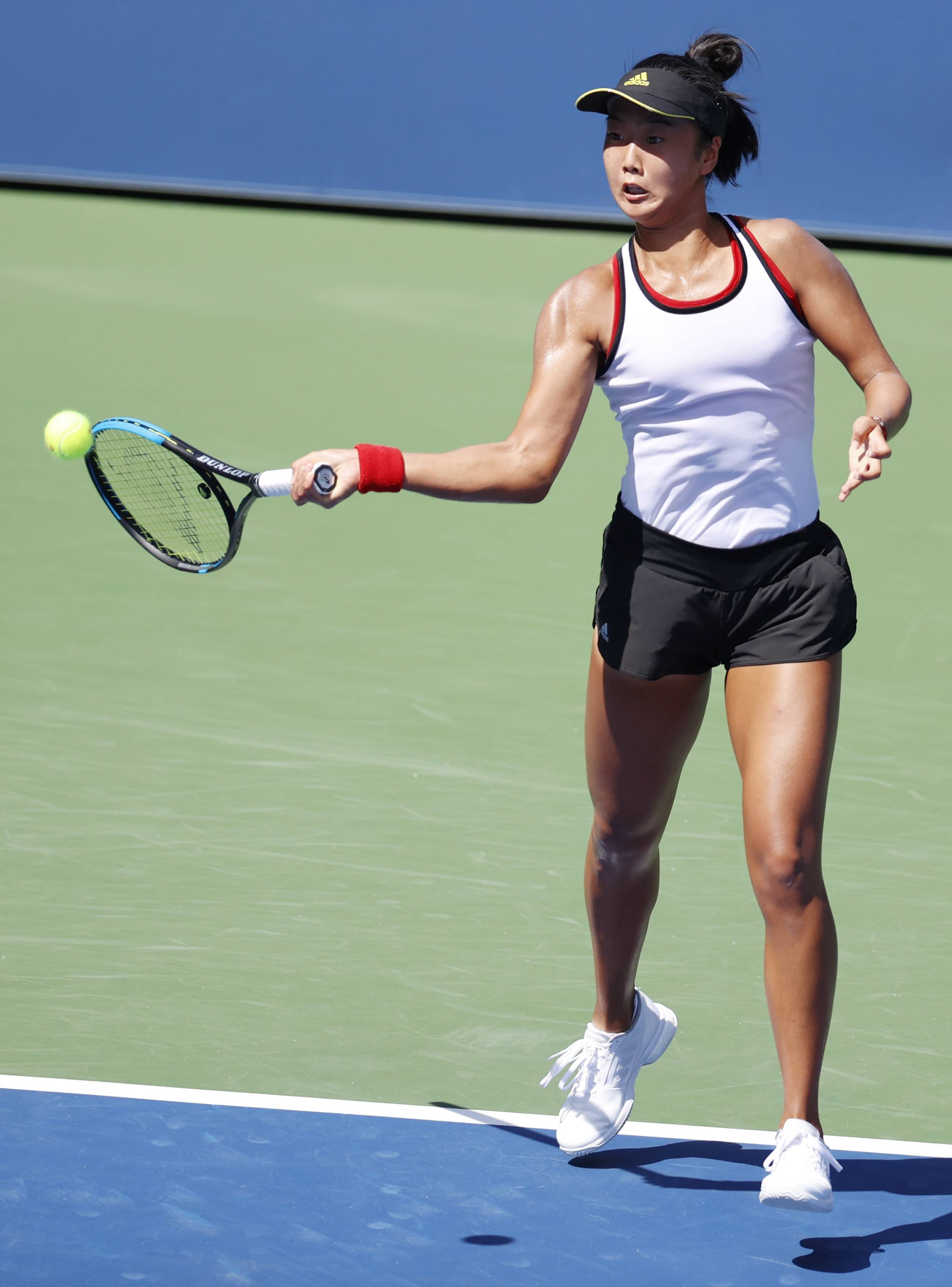 广东巴迪瑞 广东巴迪瑞